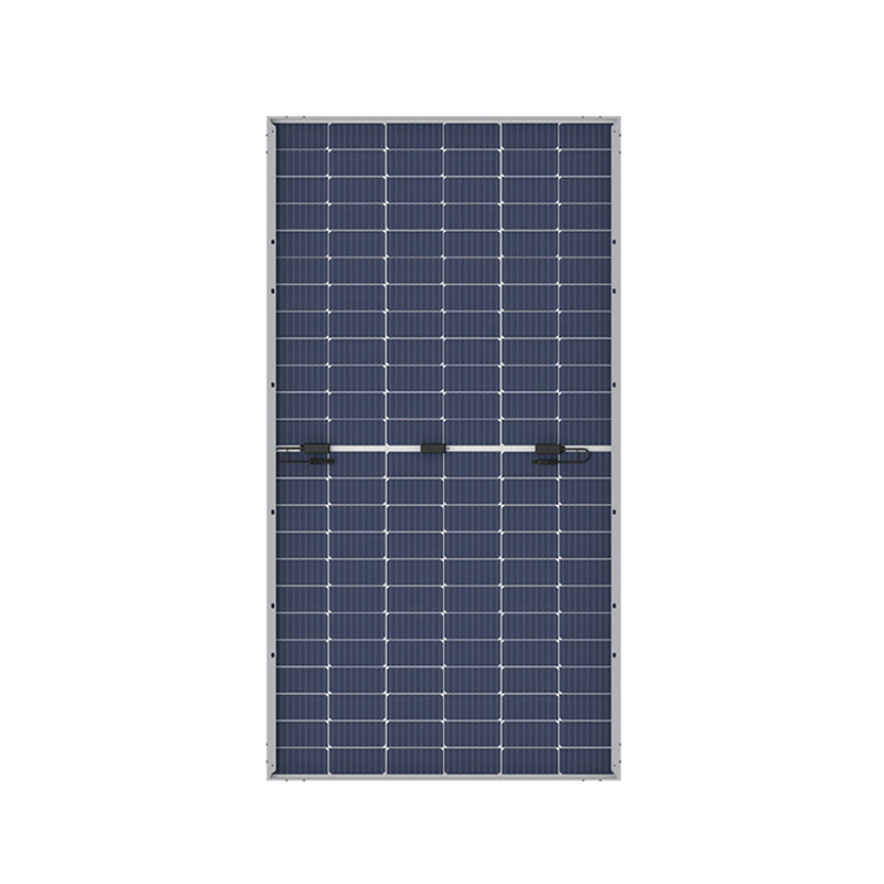 50W Bifacial Solar Module