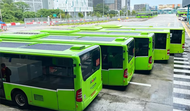 Grünes Licht für den Einsatz von 50 weiteren Bussen, die mit ultradünnen Solarmodulen ausgestattet sind