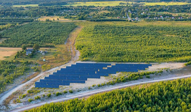 Solarenergie machte im Jahr 2021 16 % des kalifornischen Stromabsatzes aus